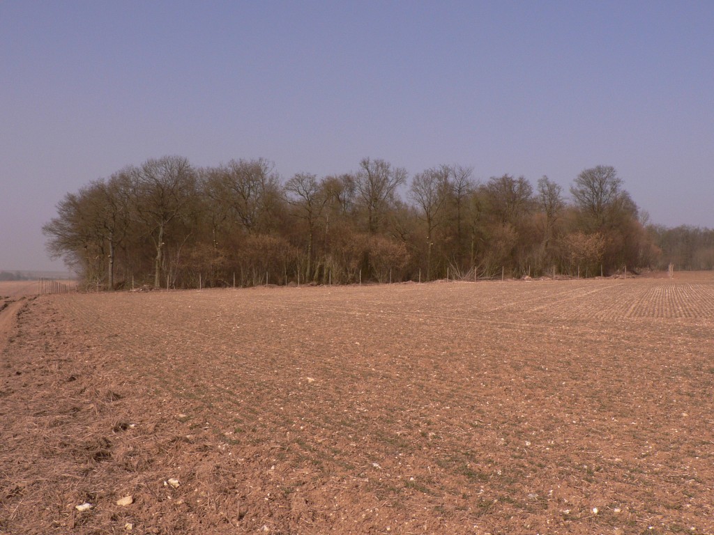 photo_balade_19-03-2006_044
