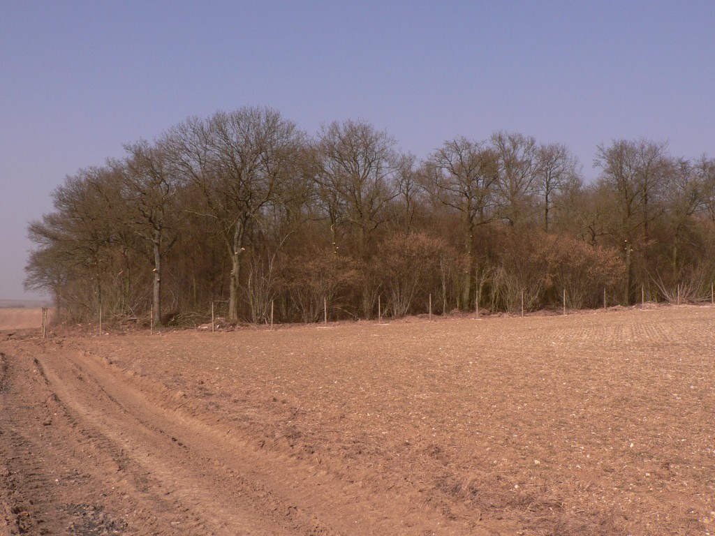 photo_balade_19-03-2006_045