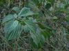photo_balade_19-09-2005_019