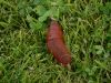 photo_balade_19-09-2005_125