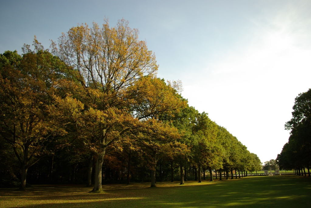 photo_automne_a_longueval_19-10-2008_017