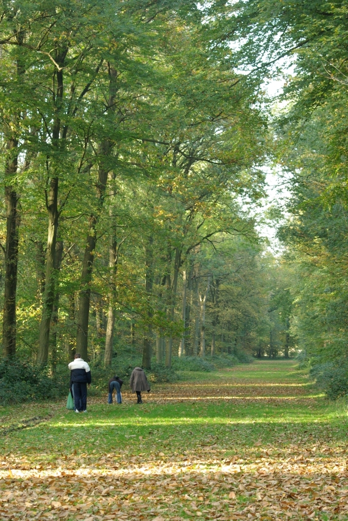 photo_automne_a_longueval_19-10-2008_058