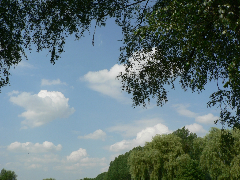 photo_balade_20-07-2006_19