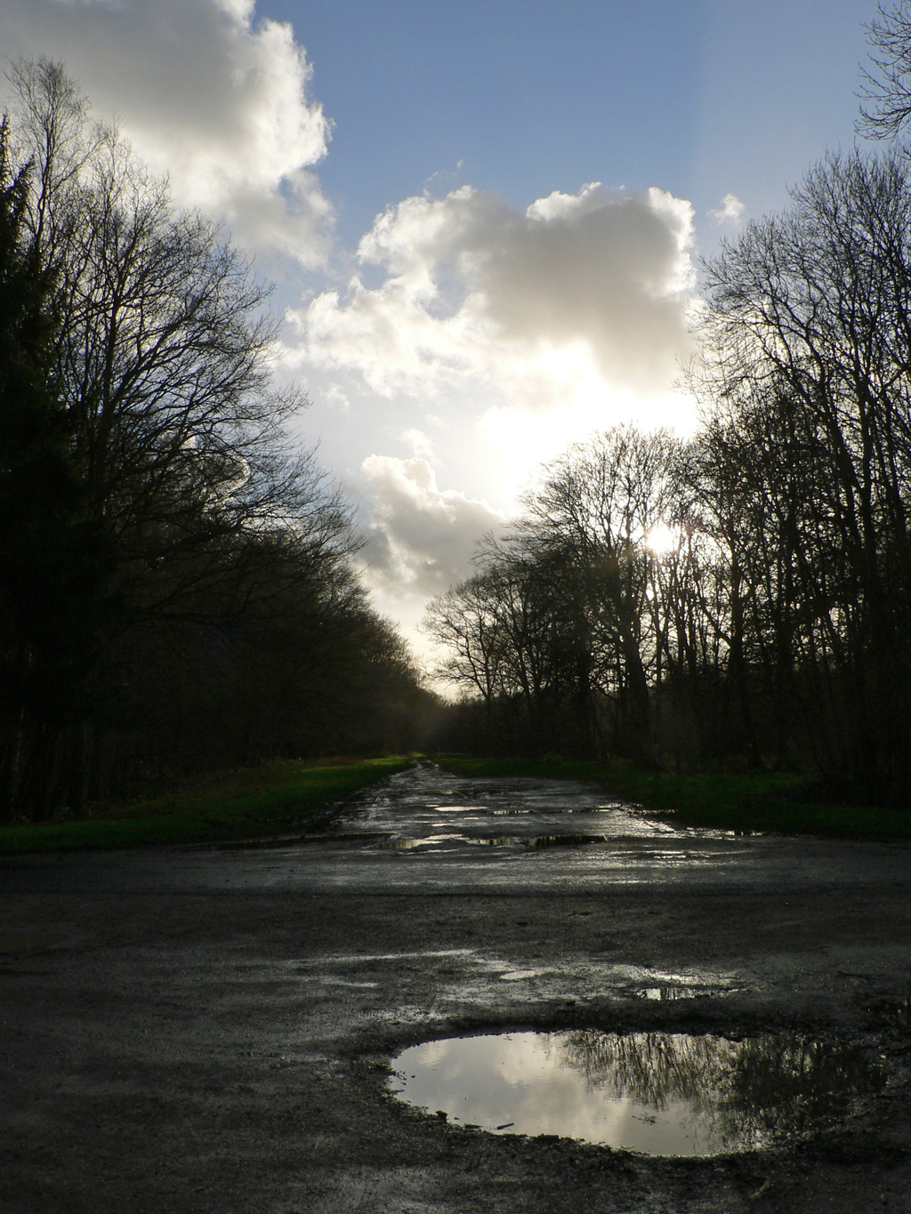 foret_de_crecy_014
