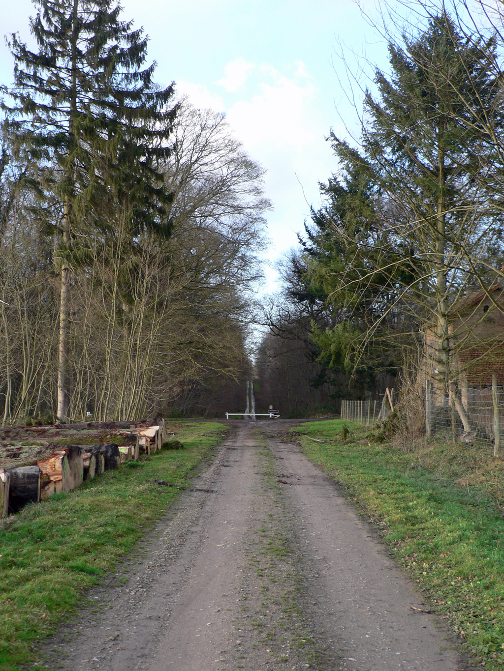 foret_de_crecy_018