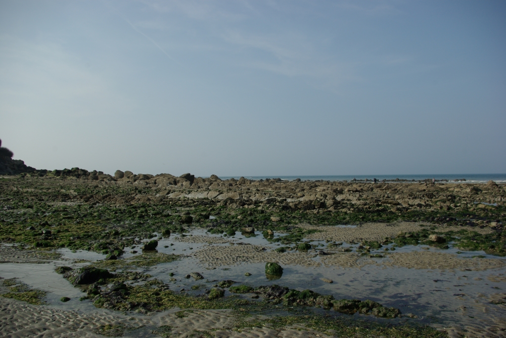 cap_gris-nez_22-03-2009_045