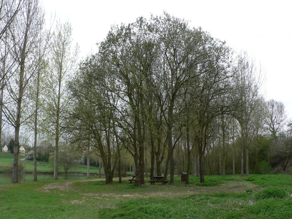 photo_balade_23-04-2006_037