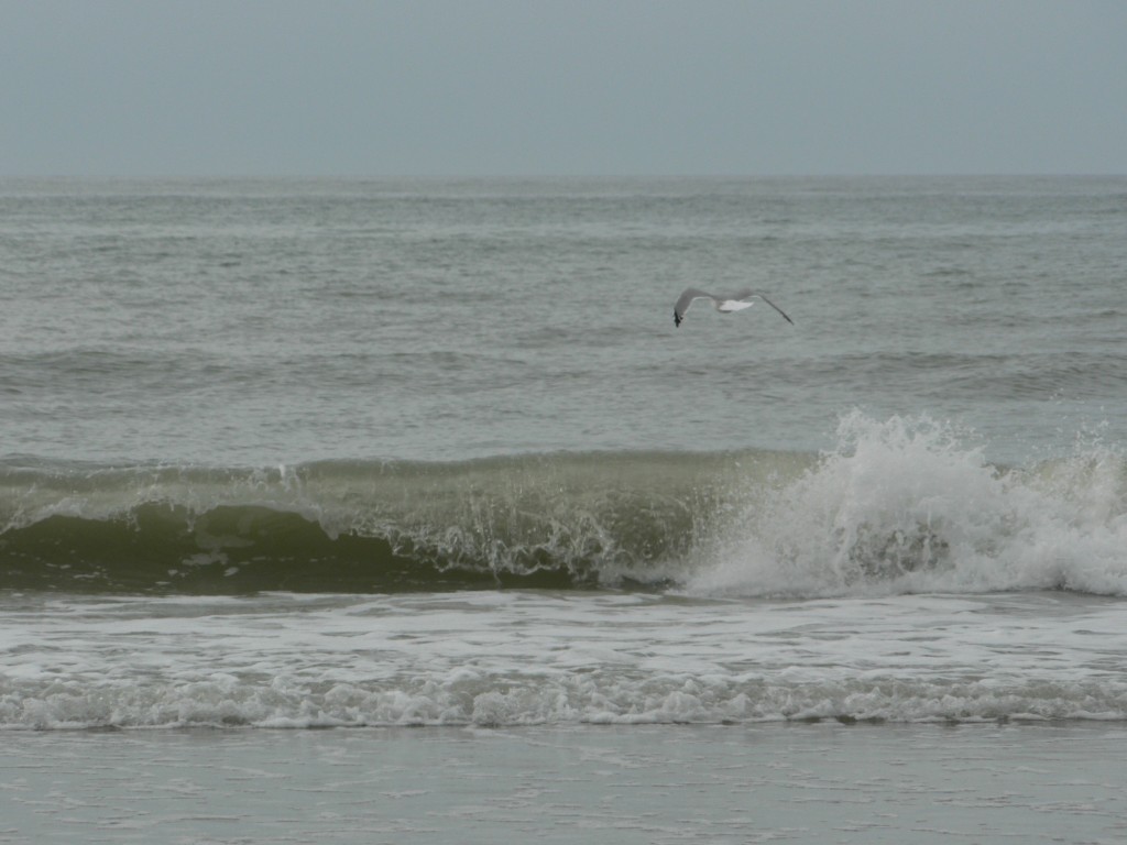 photo_quend_plage_24-09-2006_32