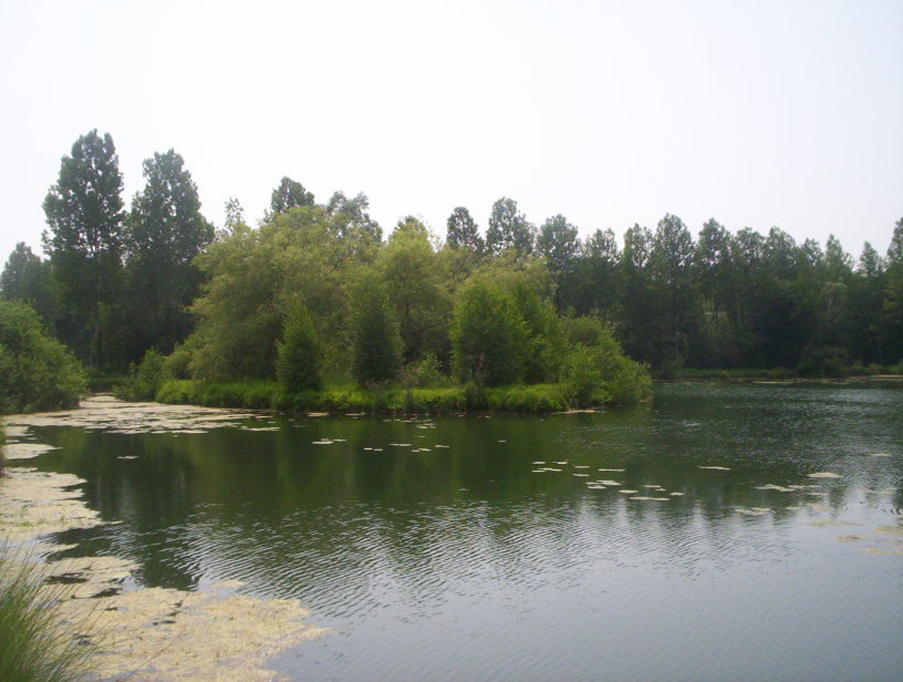 photo_balade_au_fil_de_l_eau_27-06-2005_003