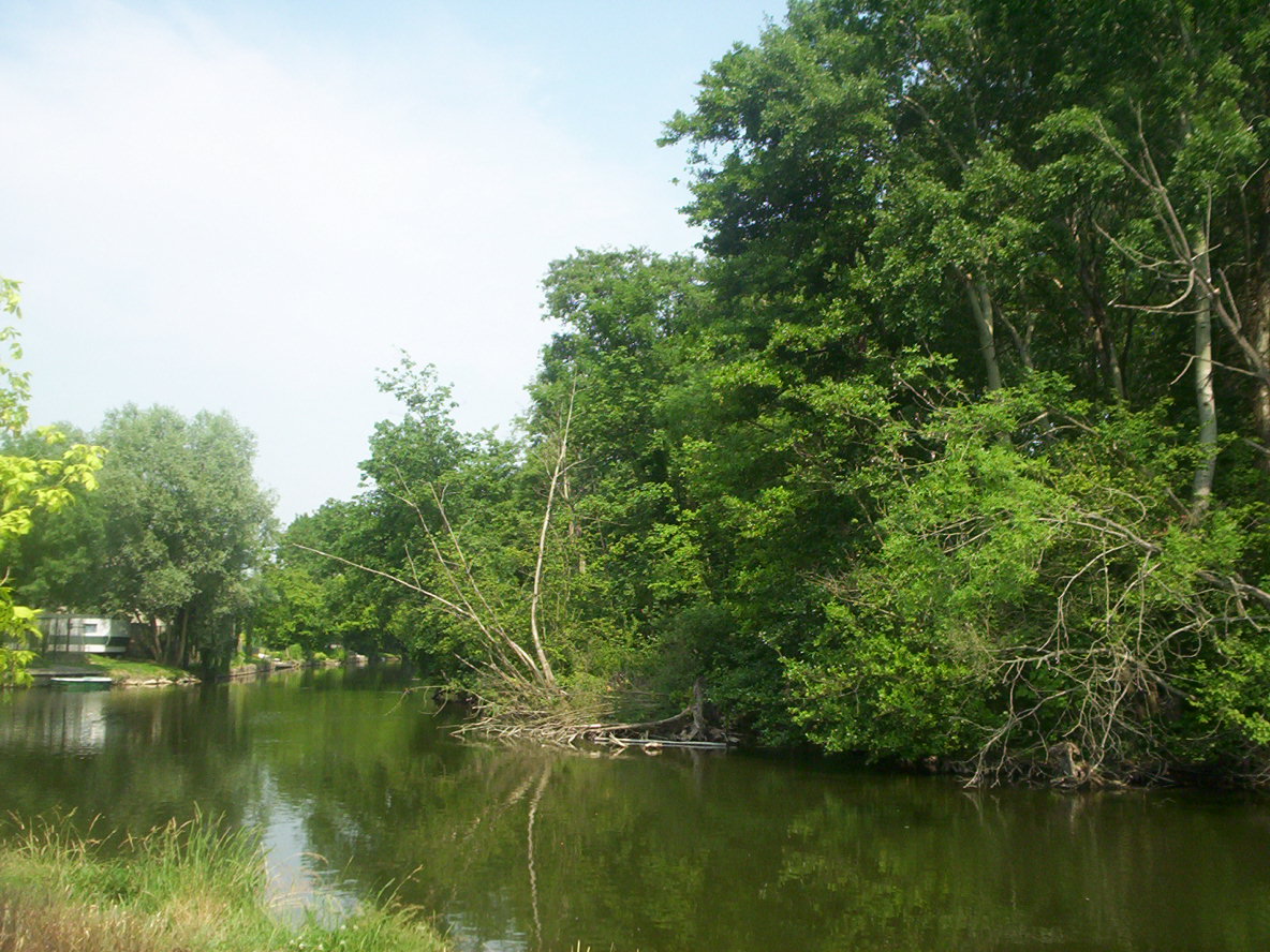 photo_balade_au_fil_de_l_eau_27-06-2005_056