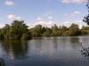 photo_le_grand_marais_de_la_queue_blangy_tronville_27-08-2006_004