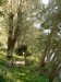 photo_le_grand_marais_de_la_queue_blangy_tronville_27-08-2006_006