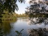 photo_le_grand_marais_de_la_queue_blangy_tronville_27-08-2006_009