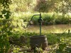 photo_le_grand_marais_de_la_queue_blangy_tronville_27-08-2006_010