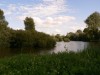 photo_le_grand_marais_de_la_queue_blangy_tronville_27-08-2006_016