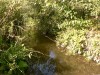 photo_le_grand_marais_de_la_queue_blangy_tronville_27-08-2006_018