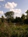 photo_le_grand_marais_de_la_queue_blangy_tronville_27-08-2006_020