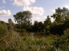 photo_le_grand_marais_de_la_queue_blangy_tronville_27-08-2006_021