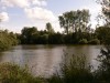 photo_le_grand_marais_de_la_queue_blangy_tronville_27-08-2006_024