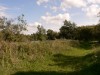 photo_le_grand_marais_de_la_queue_blangy_tronville_27-08-2006_025
