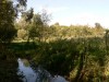 photo_le_grand_marais_de_la_queue_blangy_tronville_27-08-2006_028