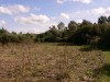 photo_le_grand_marais_de_la_queue_blangy_tronville_27-08-2006_029