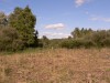 photo_le_grand_marais_de_la_queue_blangy_tronville_27-08-2006_030