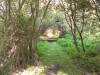 photo_le_grand_marais_de_la_queue_blangy_tronville_27-08-2006_033
