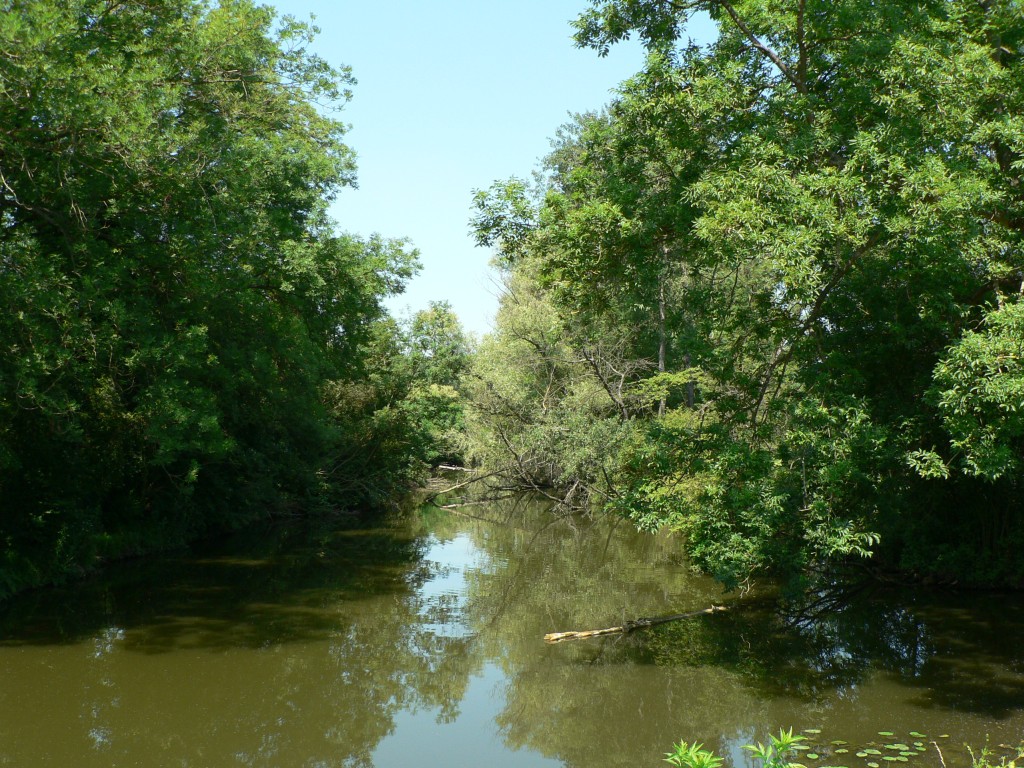 photo_balade_29-06-2006_050