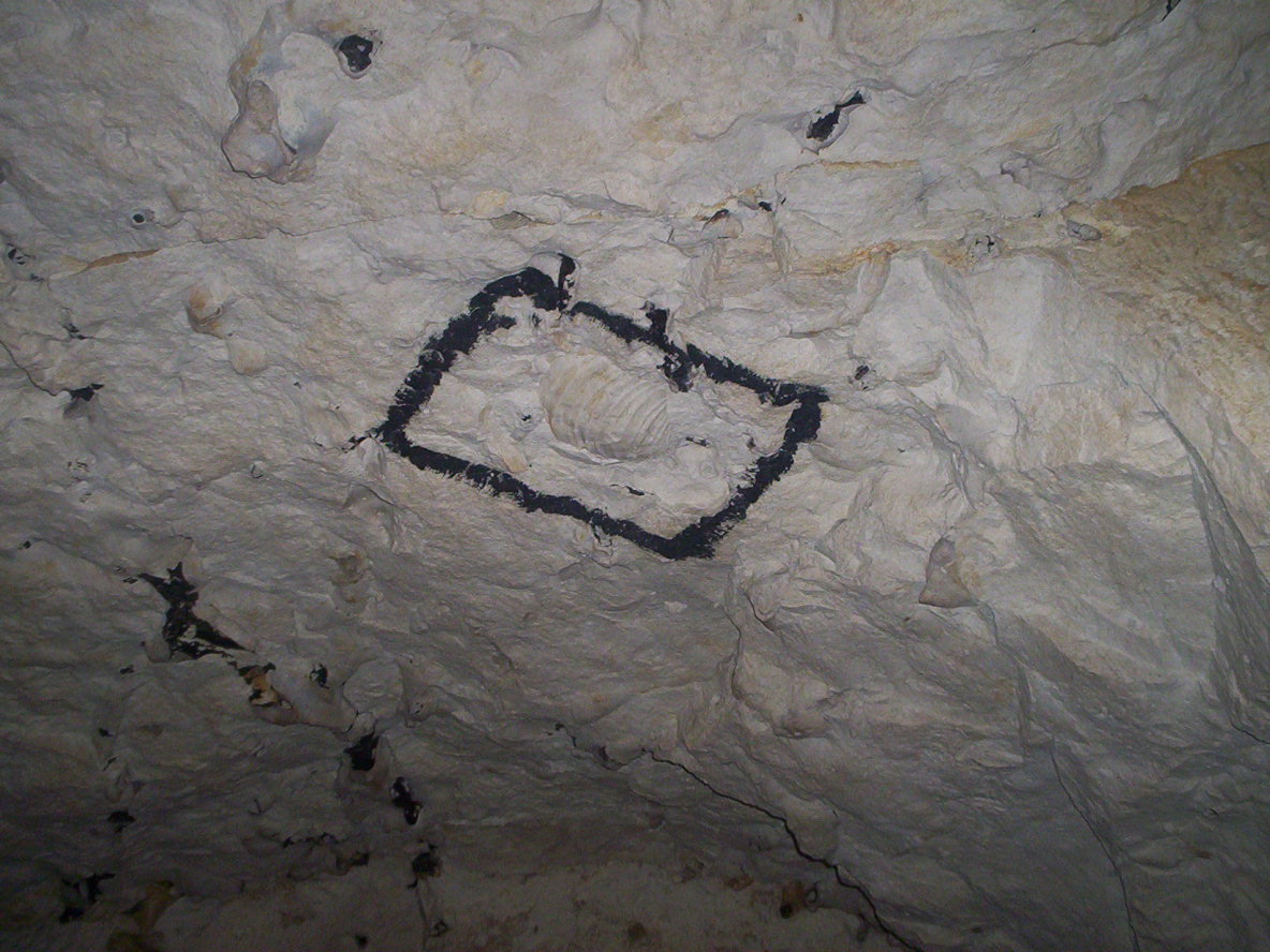photo_grotte_de_naours_29-08-2005_031