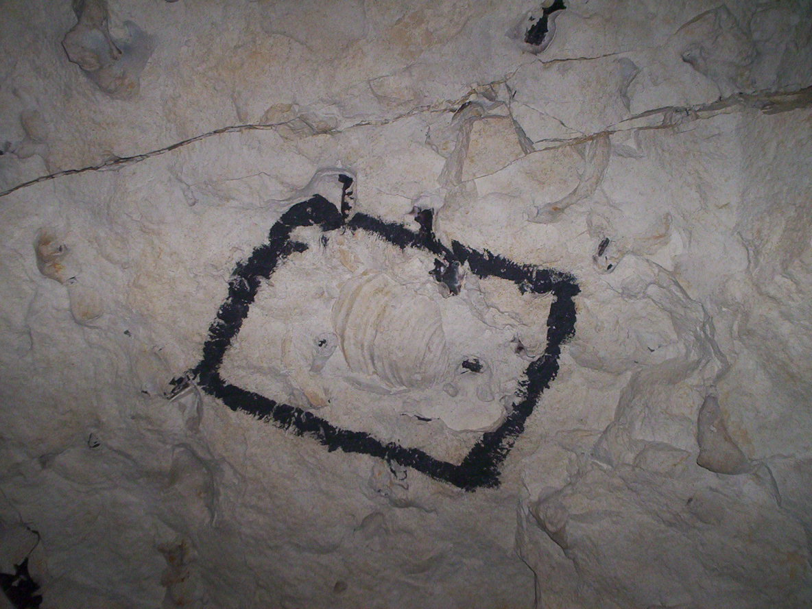 photo_grotte_de_naours_29-08-2005_032