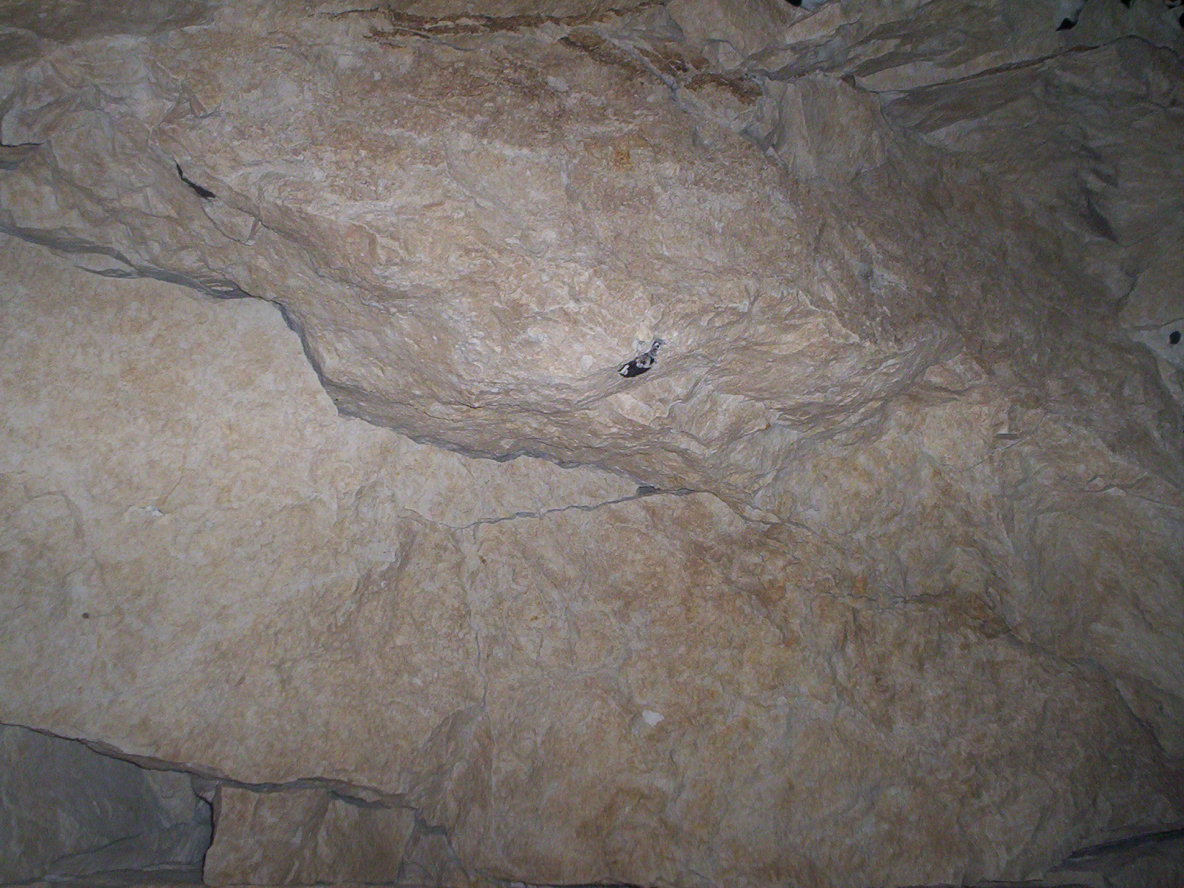 photo_grotte_de_naours_29-08-2005_038
