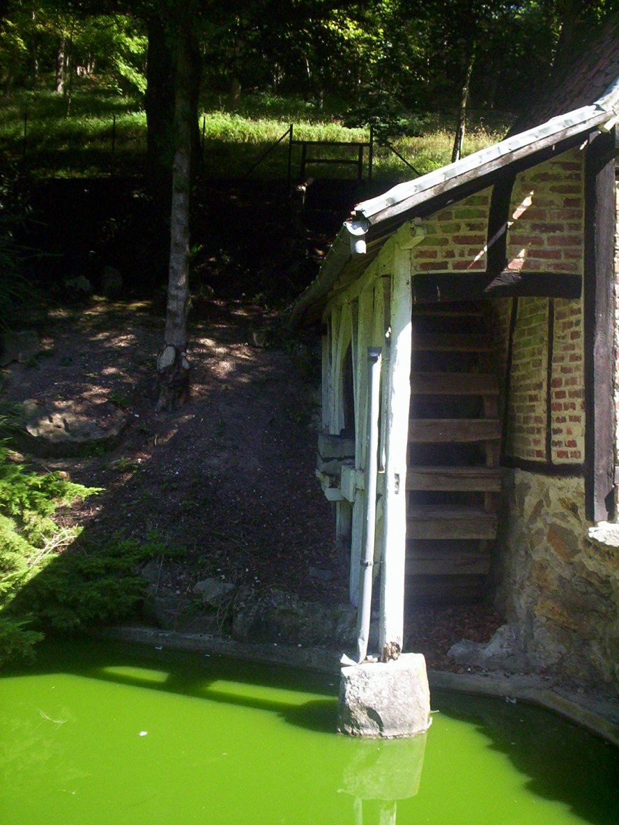 photo_grotte_de_naours_29-08-2005_151