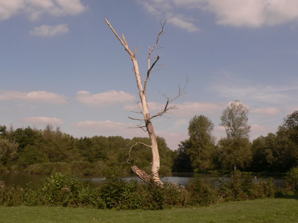 photo_balade_heilly_20-09-2005_050