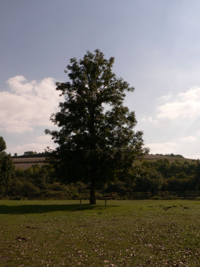photo_balade_heilly_20-09-2005_064