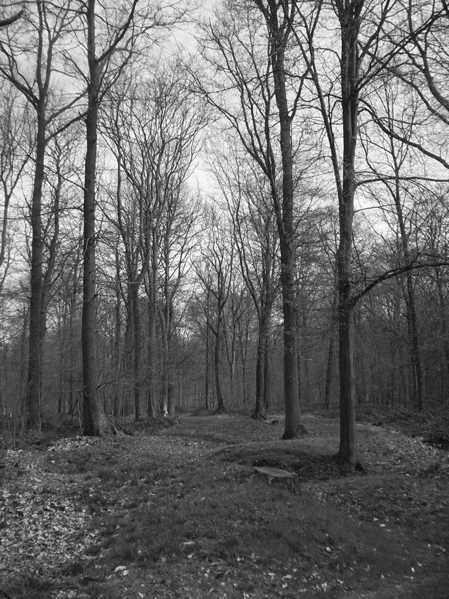 photo_balade_longueval_02-04-2005_37