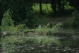 test_sigma_70-300mm_apo_dg_macro_06-08-2008_04