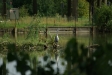 test_sigma_70-300mm_apo_dg_macro_06-08-2008_21