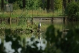 test_sigma_70-300mm_apo_dg_macro_06-08-2008_23