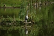 test_sigma_70-300mm_apo_dg_macro_06-08-2008_25