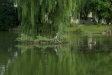 test_sigma_70-300mm_apo_dg_macro_06-08-2008_31