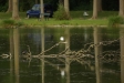 test_sigma_70-300mm_apo_dg_macro_06-08-2008_49